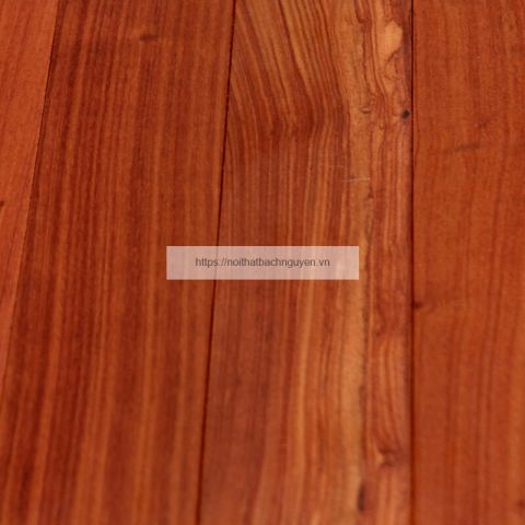 Sàn gỗ Trắc Nam Phi